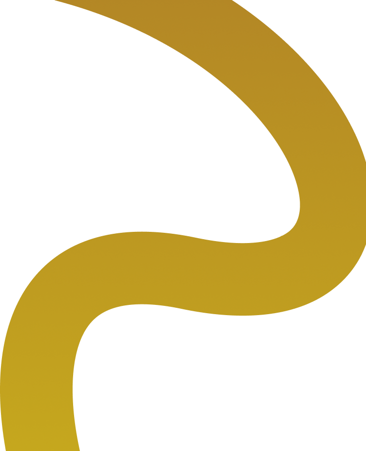 Vector 1
